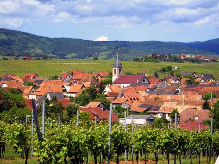 c39_le clos des raisins chambres dhotes en alsace vue de beblenheim.jpg